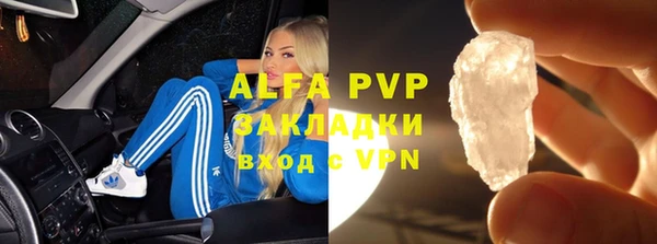 сатива Аркадак