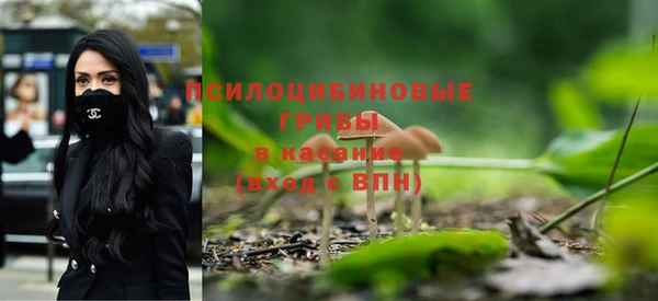 меф Алексин