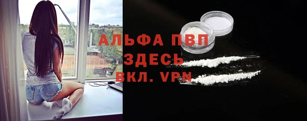 сатива Аркадак