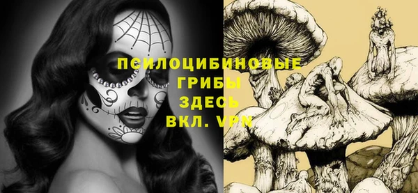 сатива Аркадак