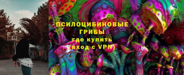 дживик Алзамай